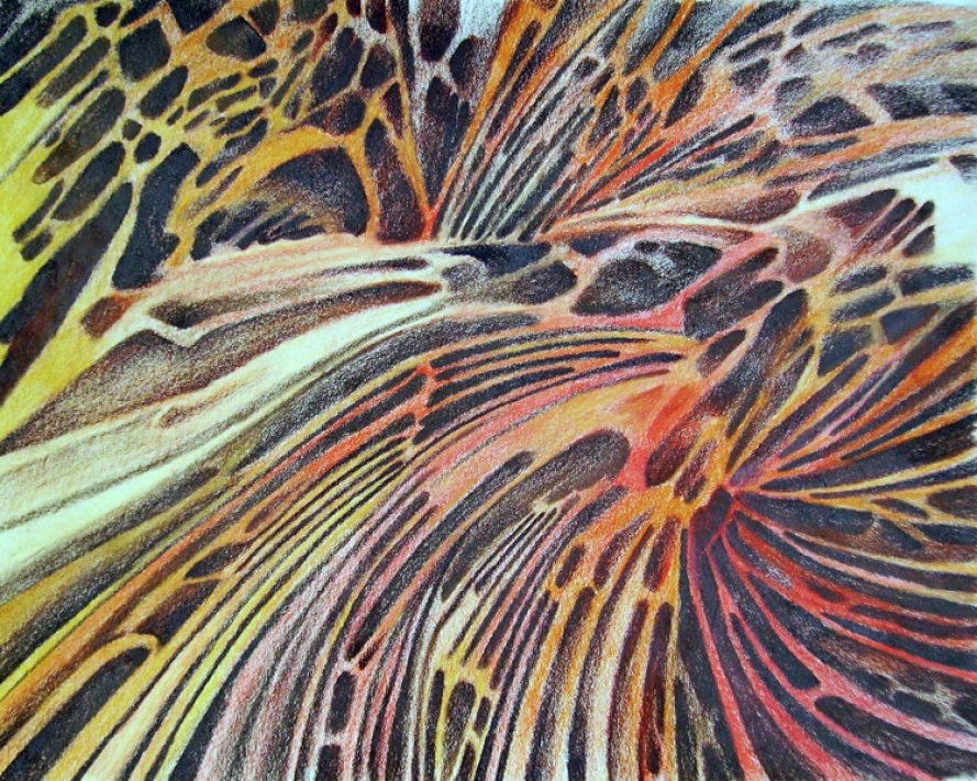 Serial Couleur 5