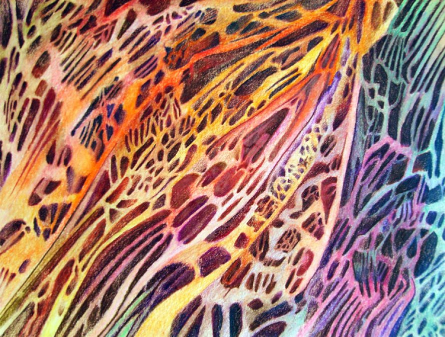 Serial Couleur 8