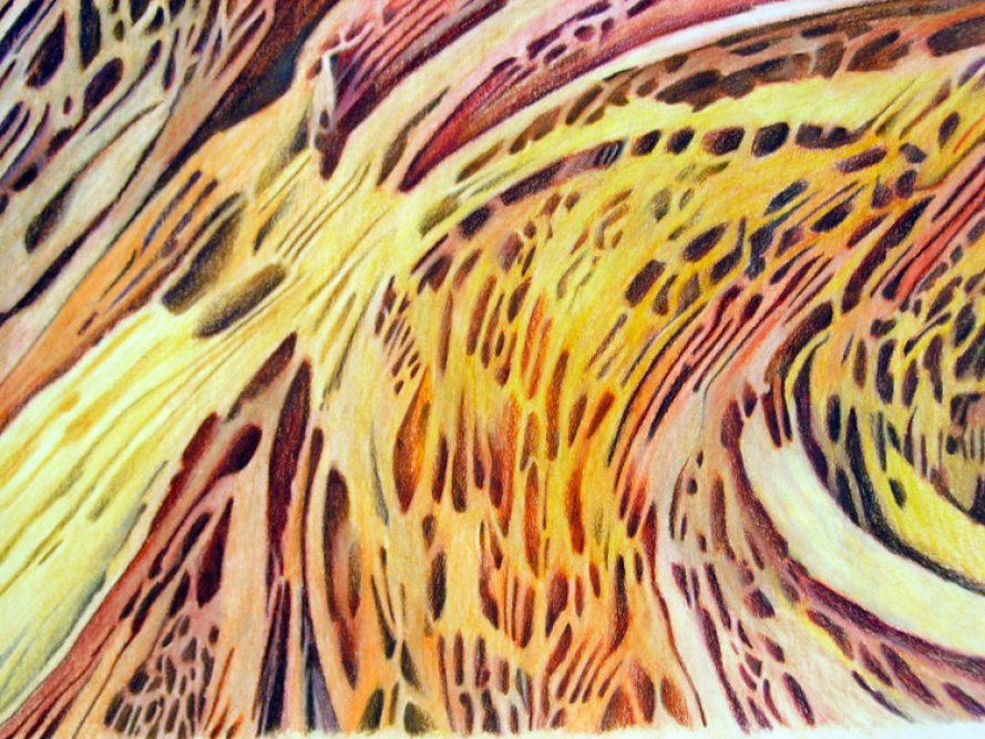 Serial Couleur 3